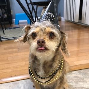 Meet your Posher, Angelia